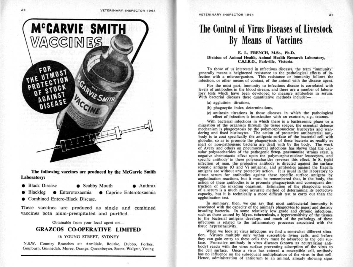 1964 Page 26 27